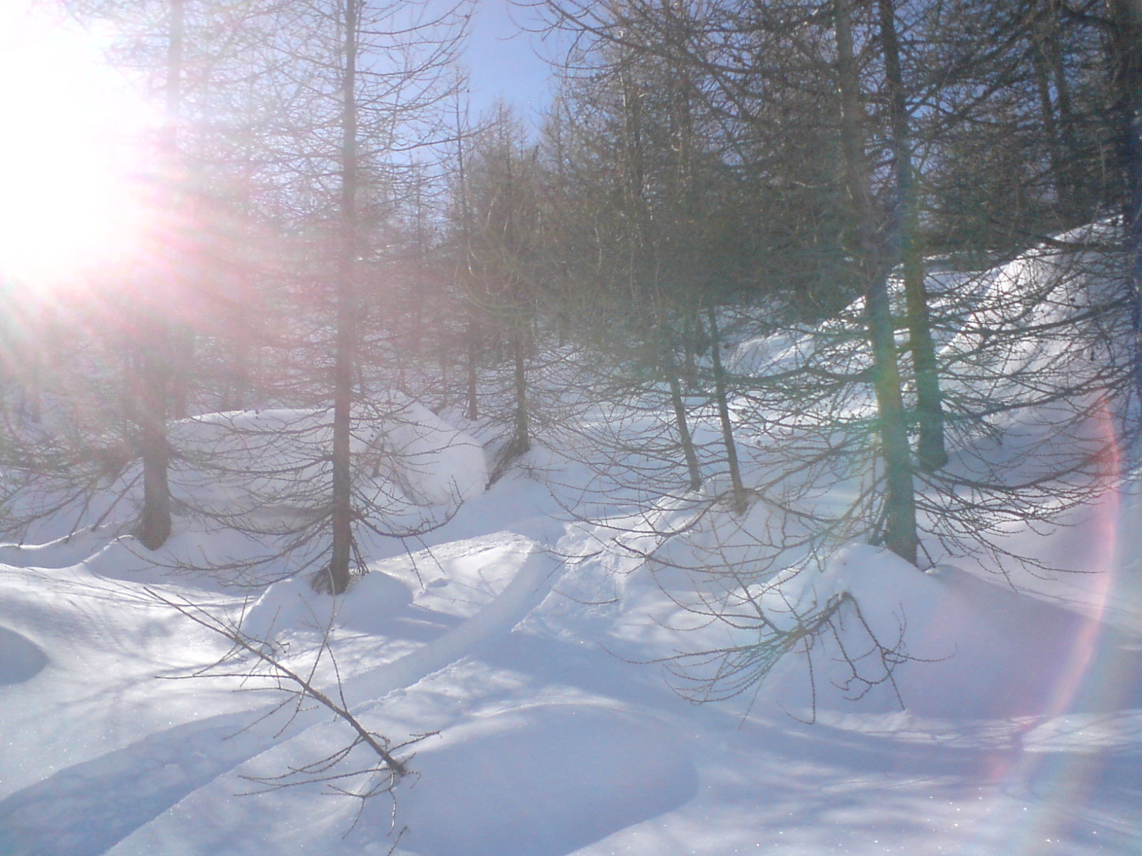 Vallon de Narreyroux