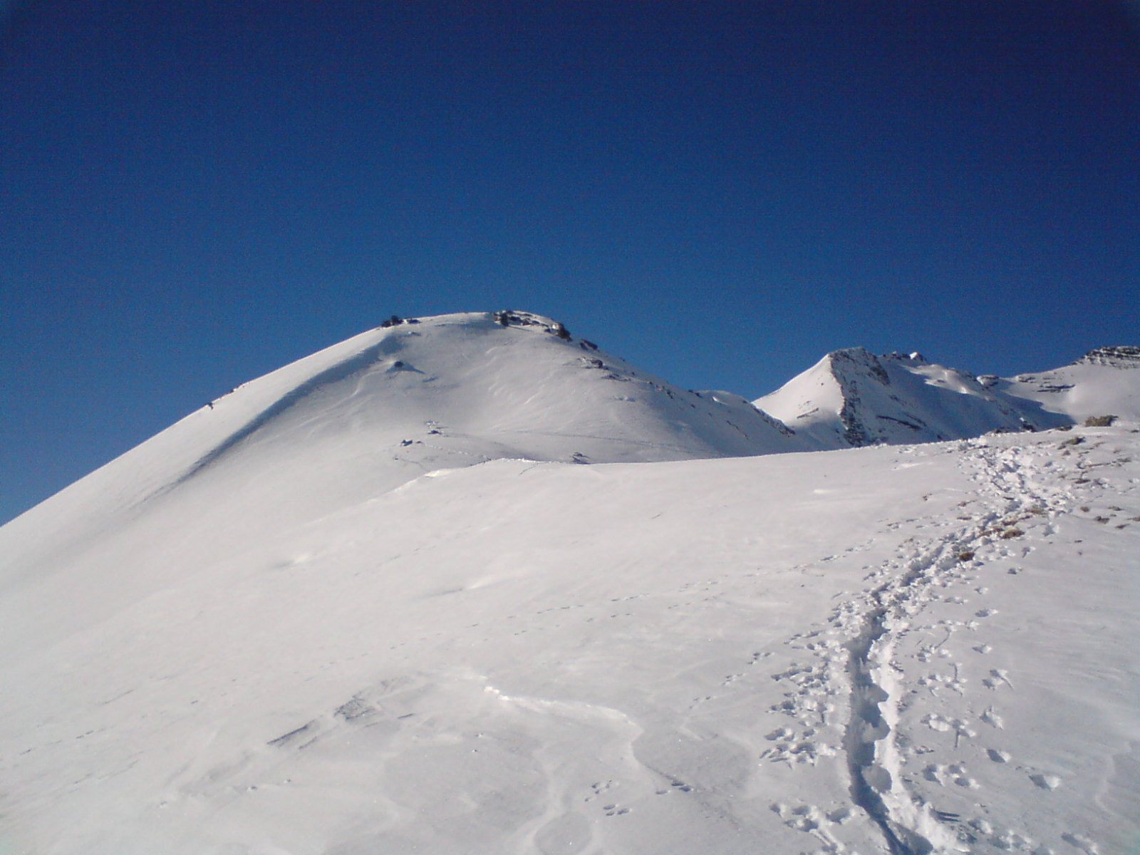 Col du Bal, A csúcs
