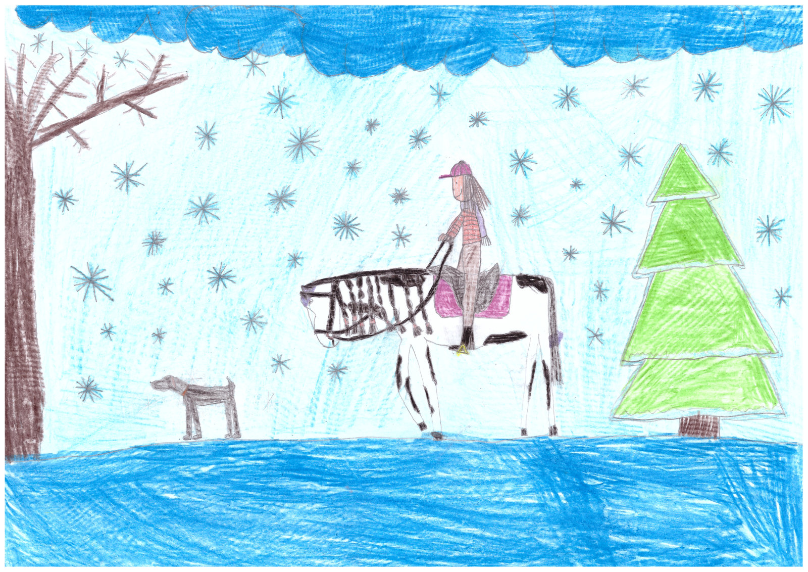 Várnagy Viola Éva, 8 év - Téli lovaglás