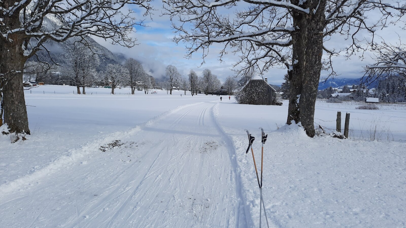 Kevés hó esett január elején, de aztán napról napra hízott a hóréteg