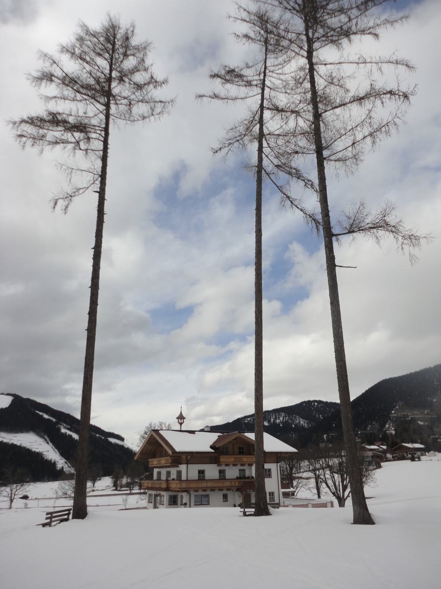 sifuto-tabor-ramsau-2014-014.JPG