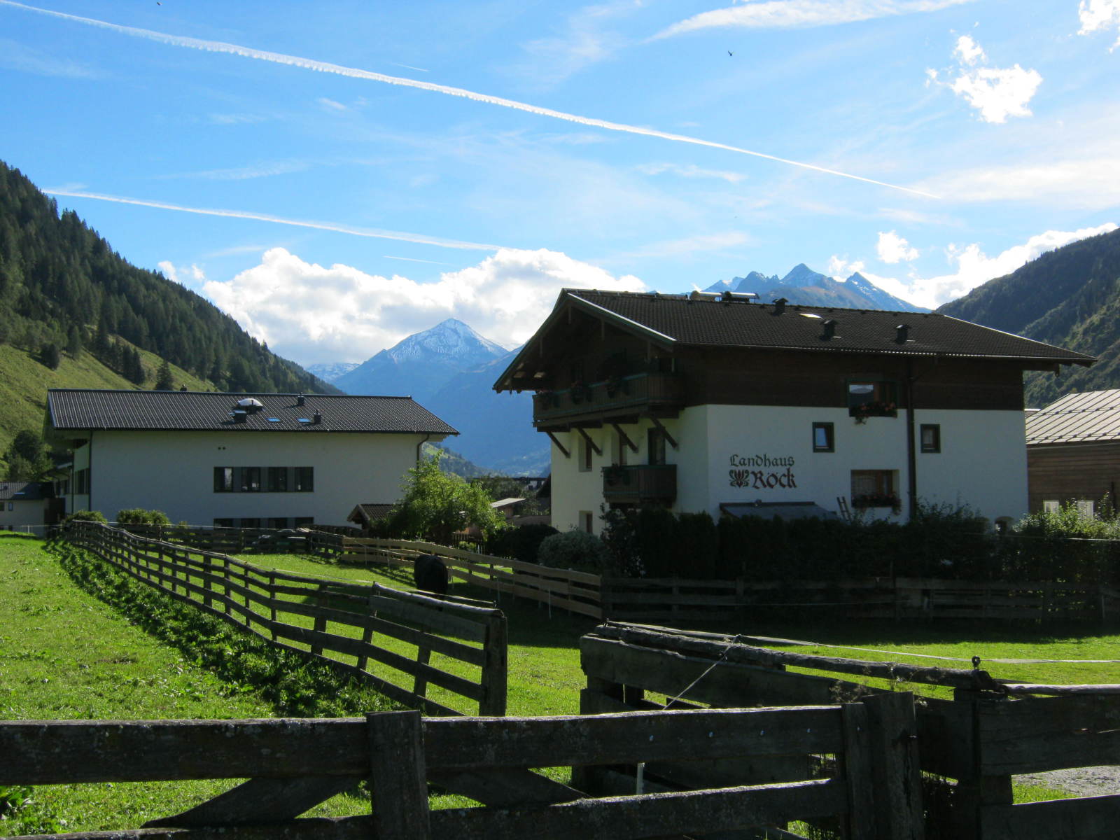 IMG-2547.JPG