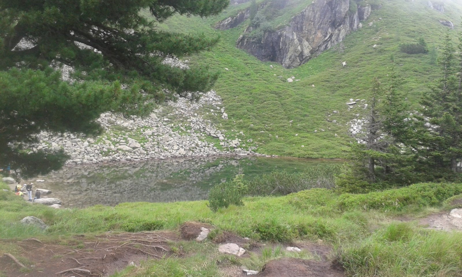 20160728-120139.jpg