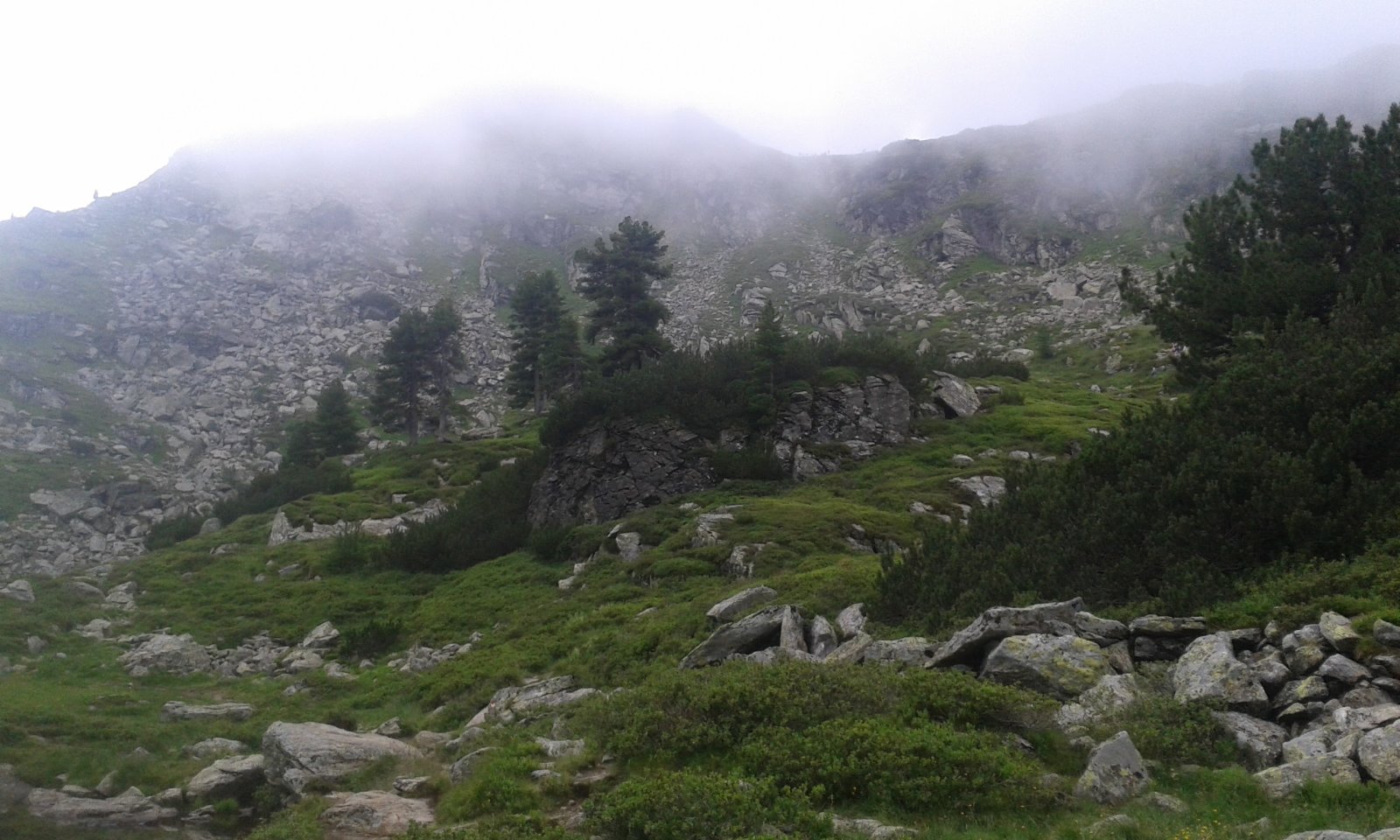 20160728-122425.jpg