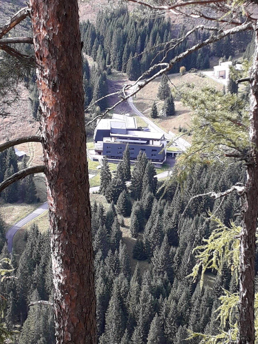 20191012-1340078.jpg