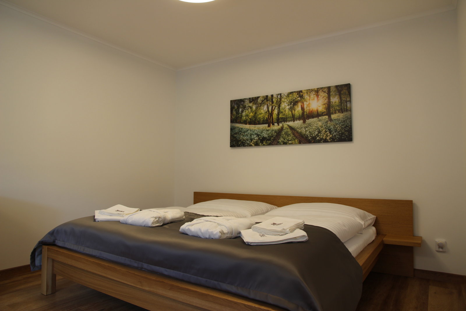 spala-v-apartmane7.JPG