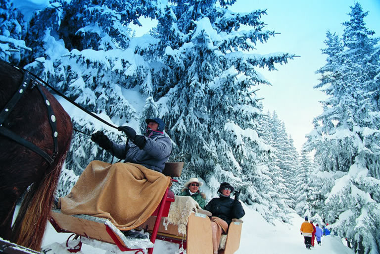 Lovasszán kirándulás.