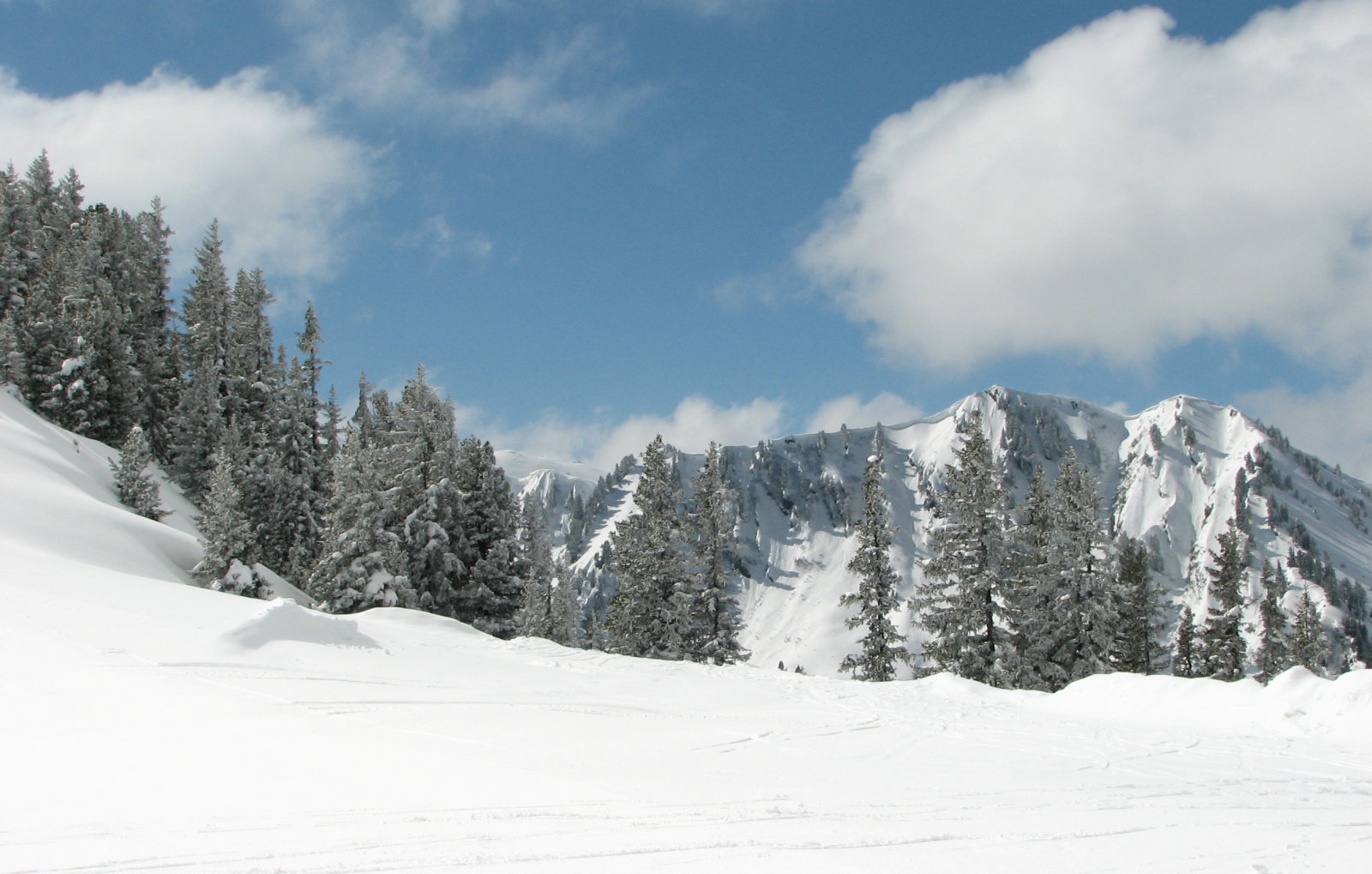 IMG-6417.JPG