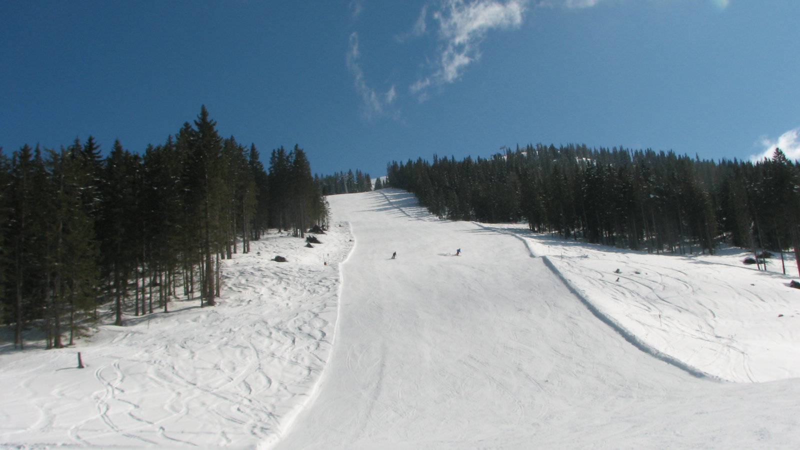 IMG-6441.JPG