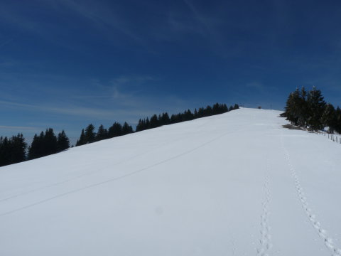 a piros 2-es pályán (ez inkább kék szerintem)