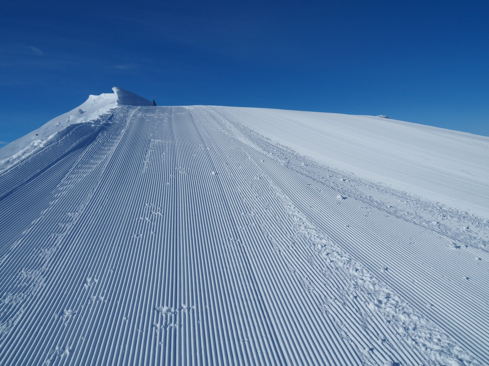 reggel ilyen pályák fogadtak