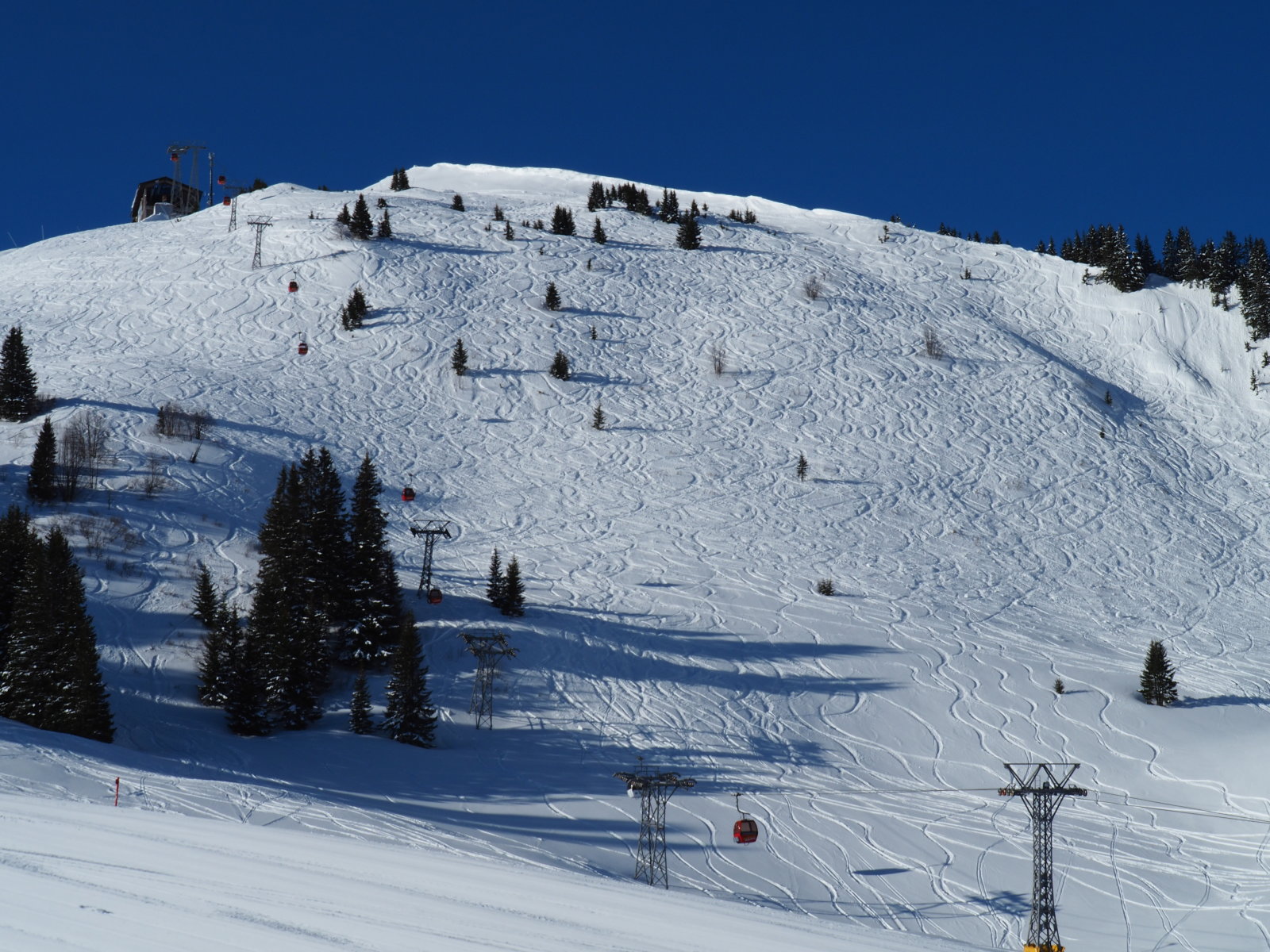 itt sokan voltak tegnap