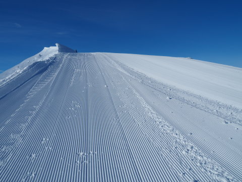 reggel ilyen pályák fogadtak