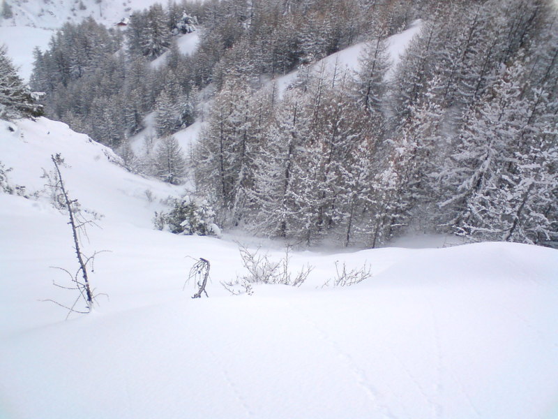 Vars, Itt jó lesz letérni (Forest pálya)