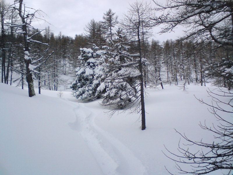 Risoul, A Combal felvonó melletti erdő balra kicsúszva