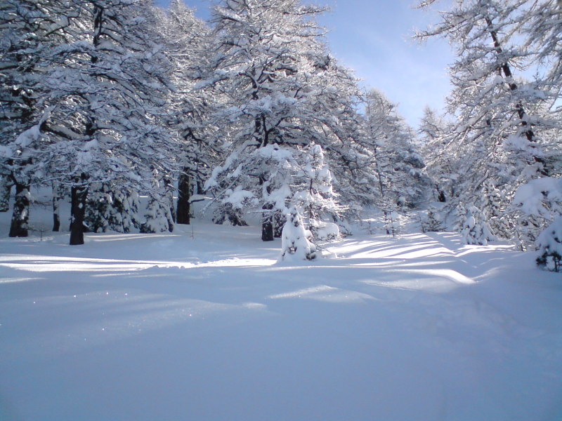 Risoul, Porhó, napsütés