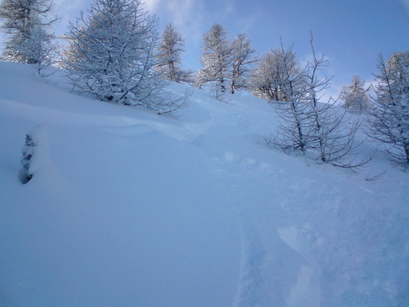 Risoul, Erdő széle a gerinc alatt