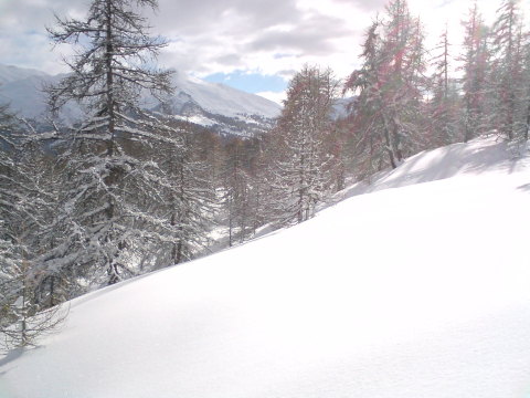 Vars, Ritkás erdő a Peyrol felvonó közelében