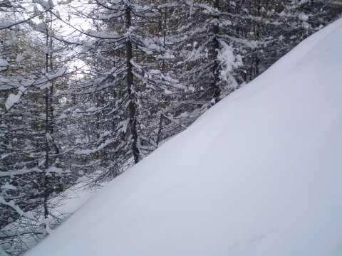 Vars, Meredek erdő a Ste Marie lift közelében