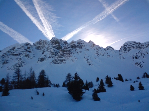 Vars, Csíkok (2011.01.15)