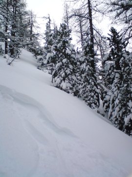 Risoul, A Combal felvonó melletti erdő (a Lac Rouge pályáról balra letérve)