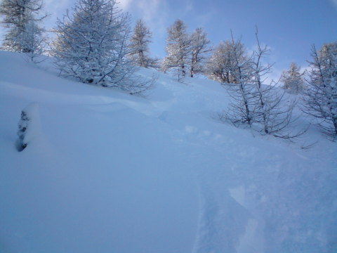 Risoul, Erdő széle a gerinc alatt