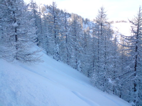 Risoul, Meredek, de rövid erdő (kivezet az Aigles pályára)