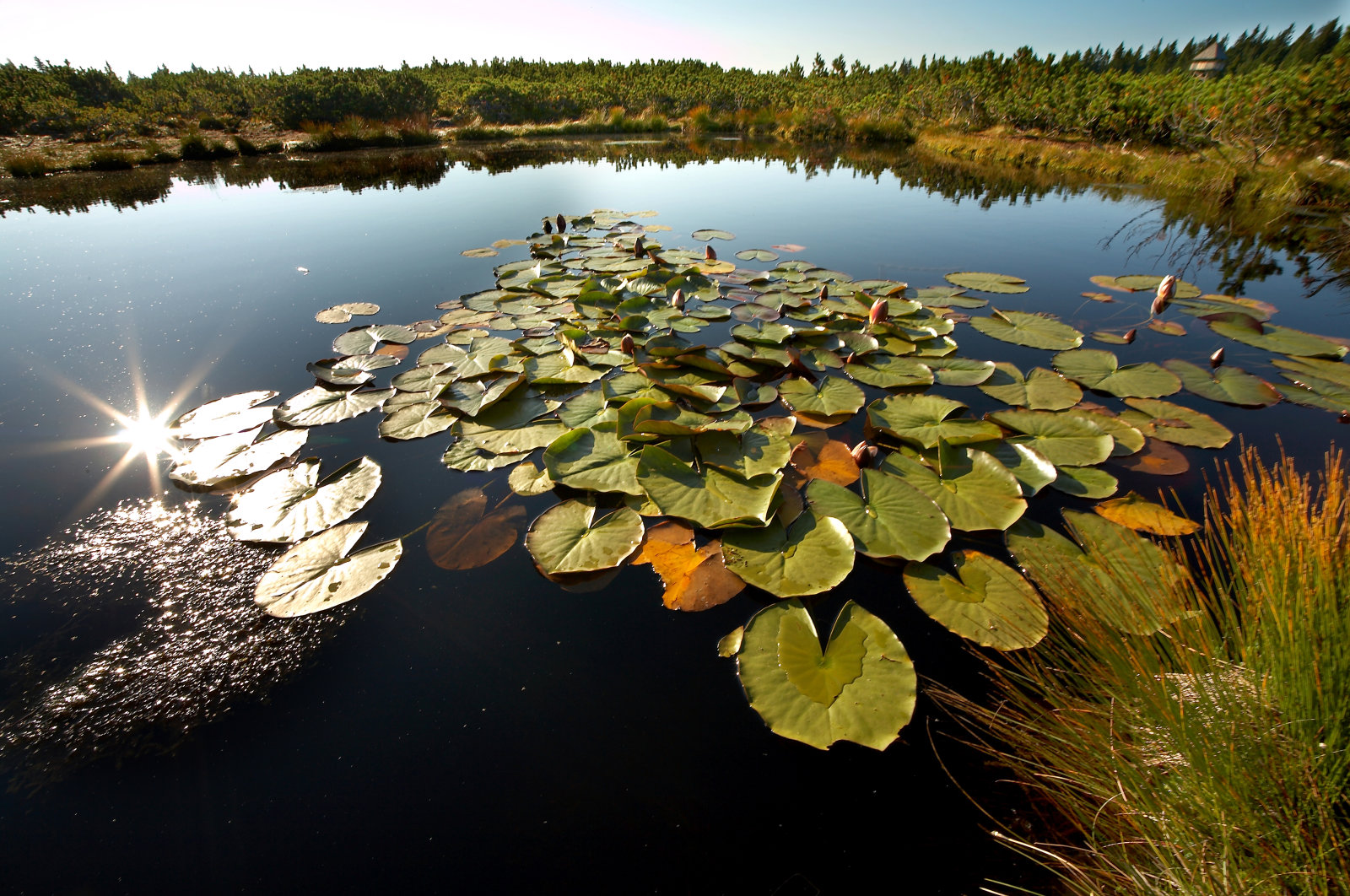 Lovrenska tavak Rogla közelében