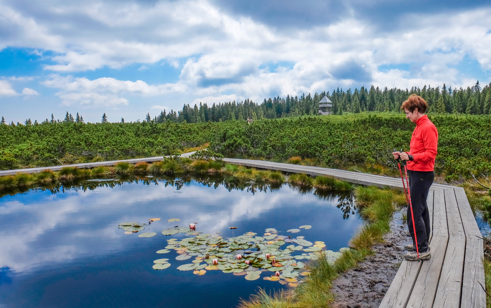 Lovrenska tavak Rogla közelében