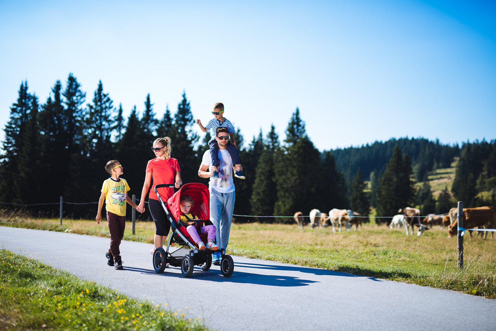 Babakocsival is járható kirándulóutak