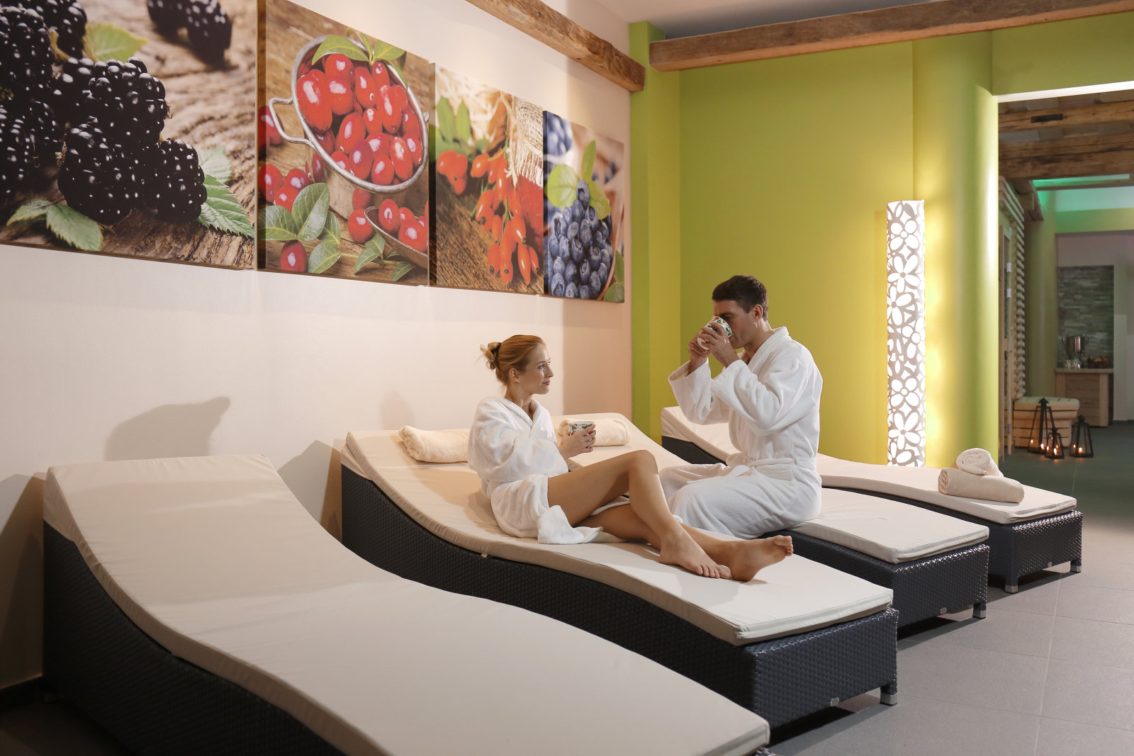 Wellness & Relax Roglán