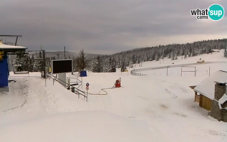 rogla-webcam.jpg