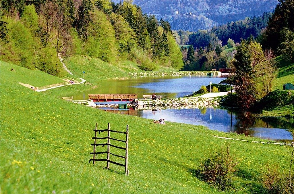 A Terme Zreče melletti tó