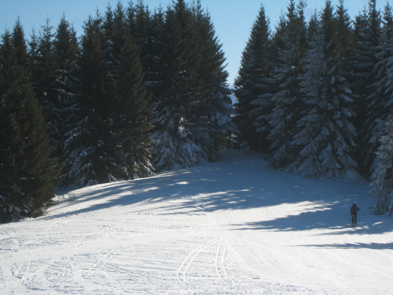 IMG-0106.jpg
