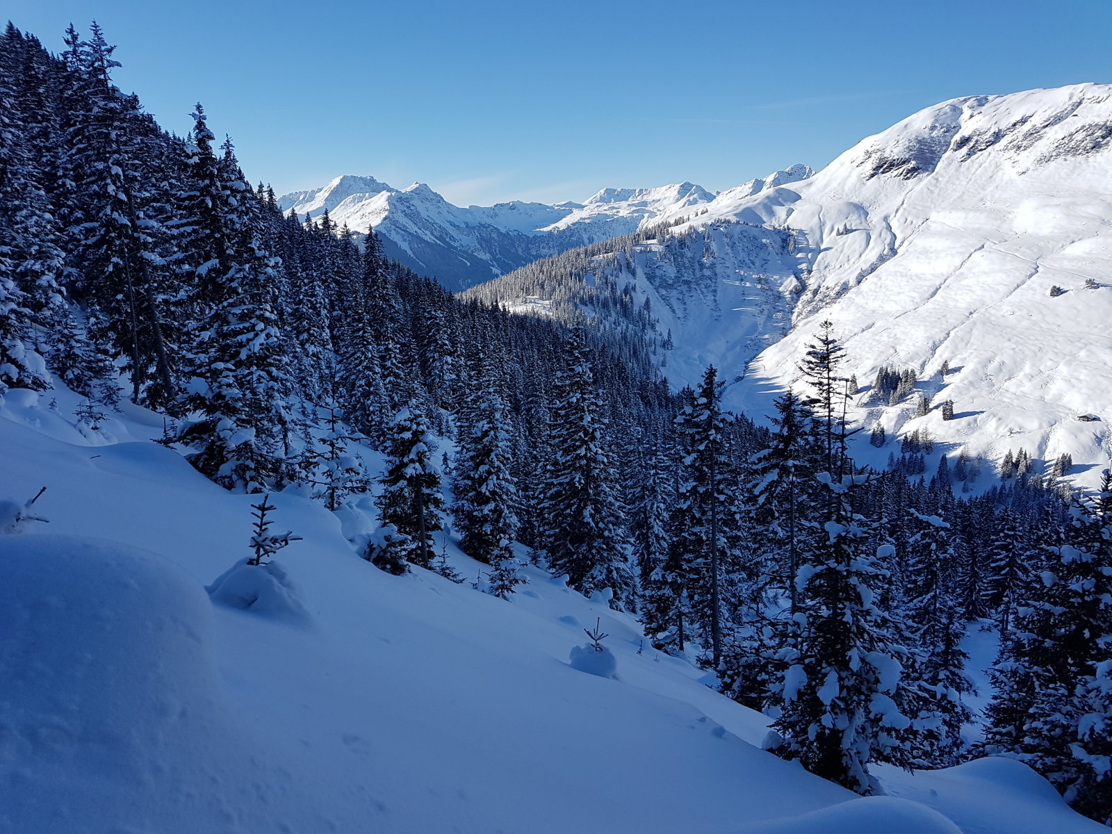 Reiterkogel hosszabb kör
