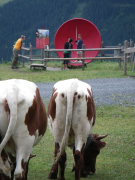 Kodok, első állomás