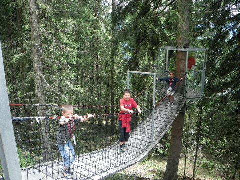 Kodok, második állomás