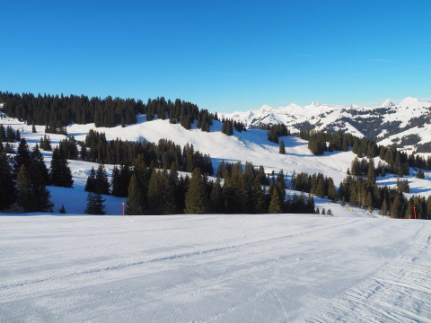 itt is kevesen voltak