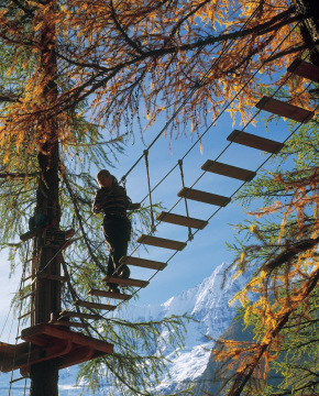 Kalanderdő Saas-Fee-ben