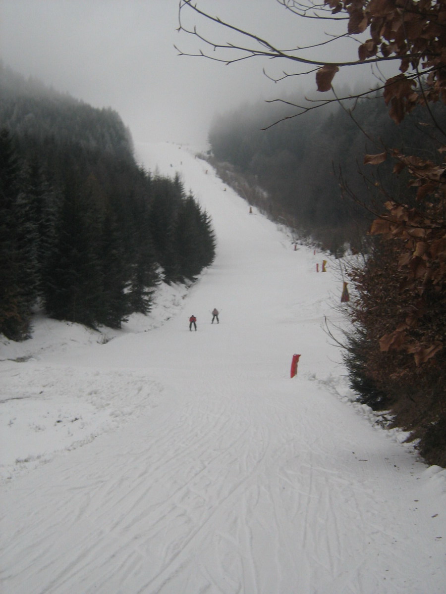 IMG-8992.JPG