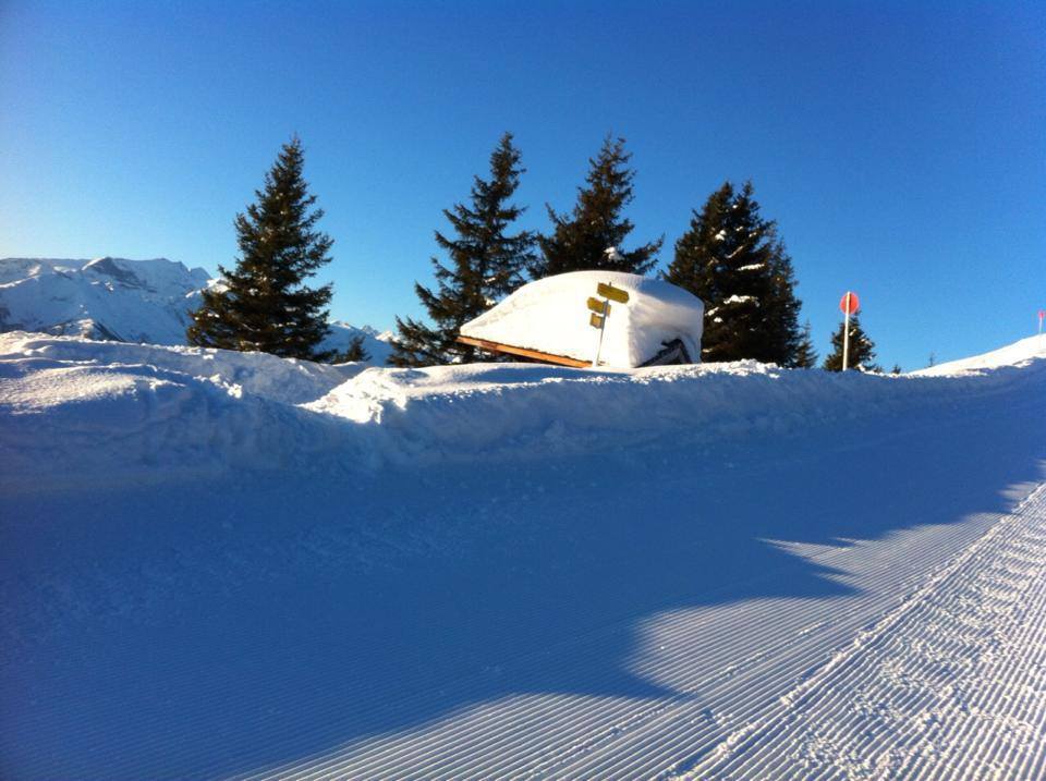 Zell am See - fotó: Schmiedhofalm