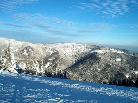 Délutáni napsütés a tetőn