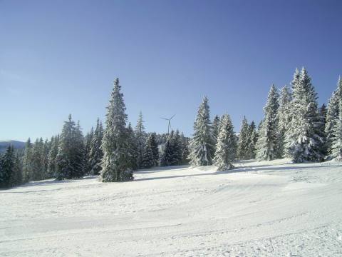 winter-wonderland-01.JPG