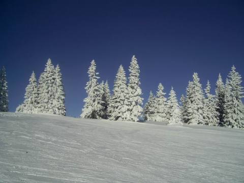 winter-wonderland-02.JPG