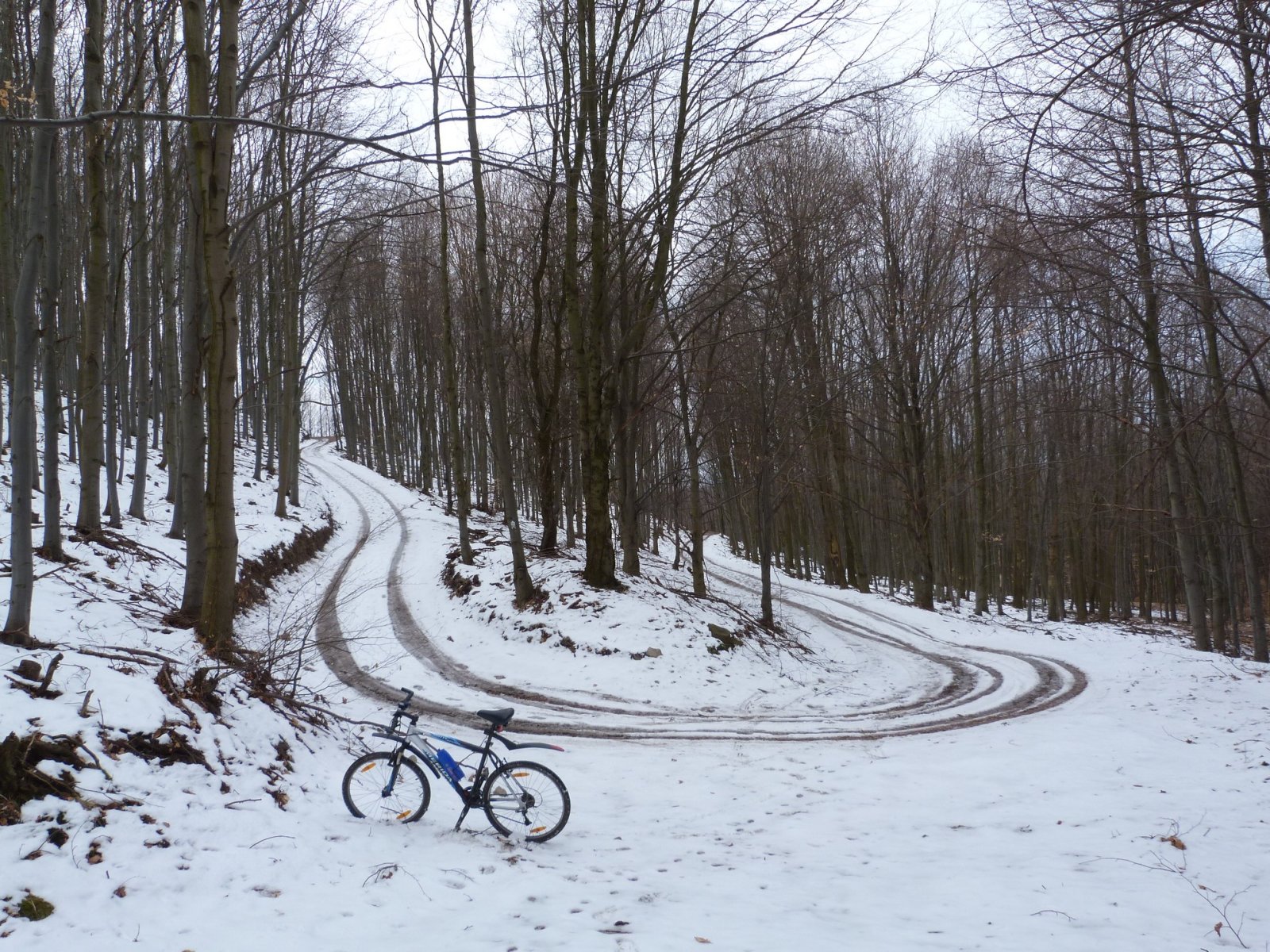 Lászlótanya március végén