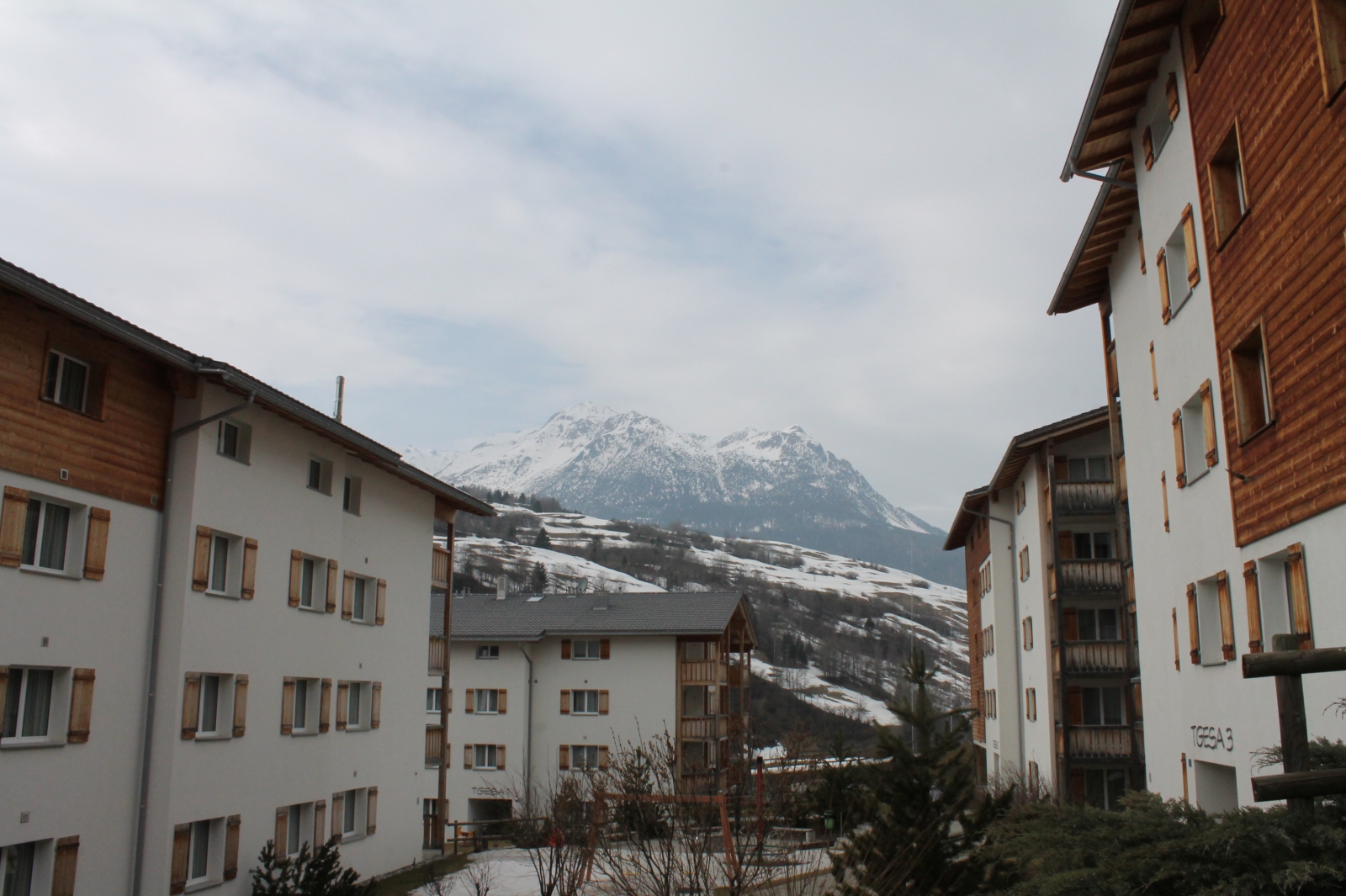 IMG-5490.jpg