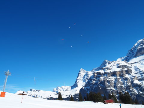 paplanernősök itt is voltak