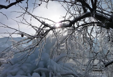 Szállásadóink kreációja. Egy kis állandó vízpermet kell csak hozzá felülről, és kész a csodálatos jégszobor.