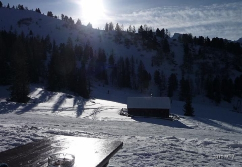 Délutáni ellenfényben.