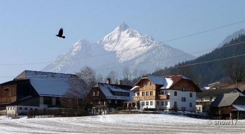 A kábelek minden jó képet elrontanak. Még ezt a madarasat is. :o(